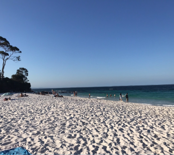 hyams_beach